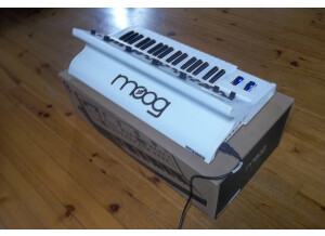 Moog Music Little Phatty Stage II White Edition (33500)