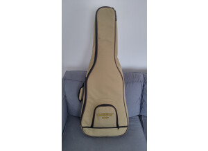 Gretsch G9201 "Honey Dipper" Metal Resonator Guitar (14177)