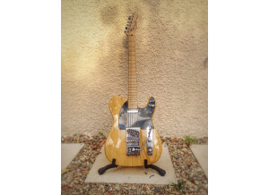 Fender Special Edition Lite Ash Telecaster (84242)