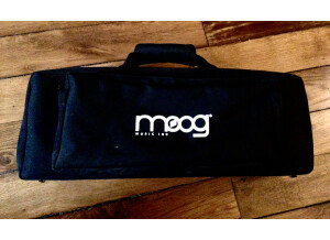 Moog Music Etherwave Plus (88171)