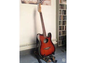 Fender Telecoustic [2000-2005] (85934)