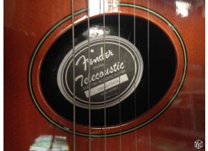 Fender Telecoustic [2000-2005] (79737)