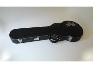 Gibson Les Paul Standard 2008 Plus - Honey Burst (69952)