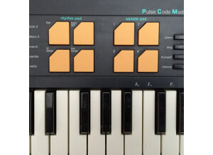 Casio SK-5 (66759)