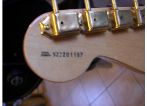 Fender stratocaster stevie ray vaughan
