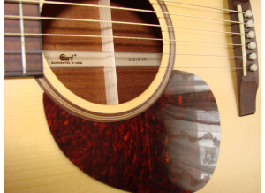 Cort Earth 100