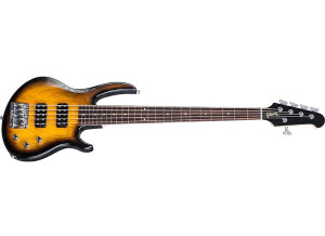 Gibson EB5 VSB 800x260