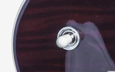 Gibson Les Paul Standard 7 String Limited : LPS716TOCH1 ELECTRONICS PANEL 03