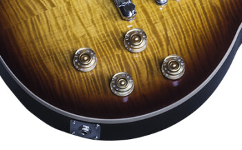 Gibson Les Paul Standard 7 String Limited : LPS716TOCH1 ELECTRONICS PANEL 02