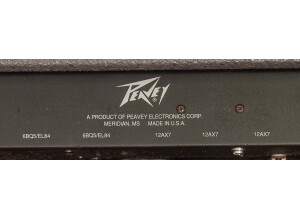 Peavey Bravo 112 4