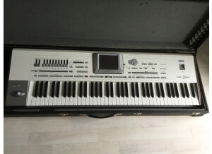 Korg Pa2XPRO (77228)