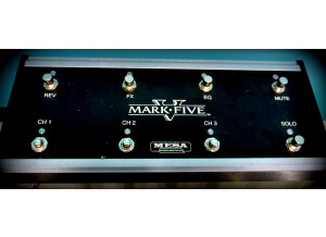 Mesa Boogie Mark Five Head (10095)