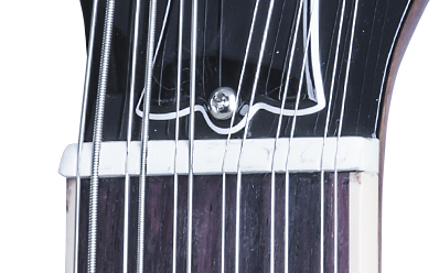 SG1216VSCH1 FRETBOARD PANEL 03