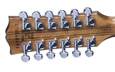SG1216VSCH1 FRETBOARD PANEL 02