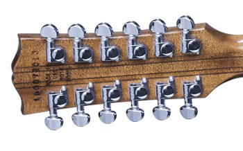 SG1216VSCH1 FRETBOARD PANEL 02 SG1216VSCH1 FRETBOARD PANEL 02