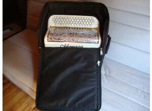 Roland FR-1B (52084)