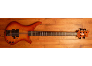 Vigier Passion 5 cordes