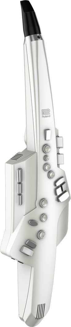 Roland Aerophone AE-10 : aerophone dr gal