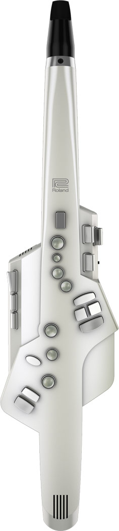 Roland Aerophone AE-10 : aerophone main gal