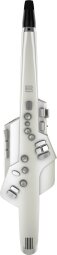Roland Aerophone AE-10 : aerophone main gal Roland Aerophone AE-10 : aerophone main gal