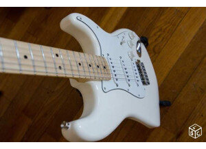 Fender Standard Stratocaster [2009-Current] (53495)