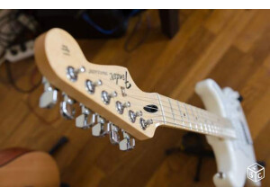 Fender Standard Stratocaster [2009-Current] (61923)