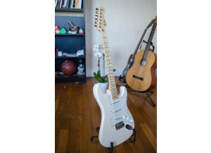 Fender Standard Stratocaster [2009-Current] (95580)