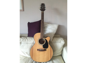 Takamine EG220SC