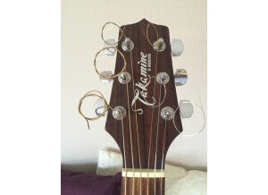 Takamine EG220SC (60013)