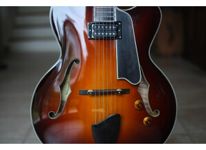 Eastman T 146 SM (81007)