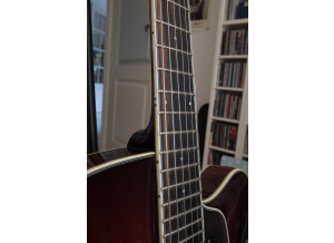 Eastman T 146 SM (27718)