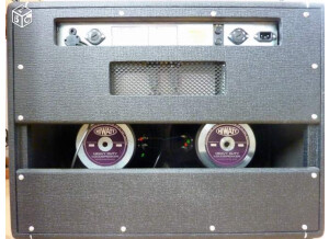 Hiwatt DG-112 - David Gilmour Custom 50 Combo 112