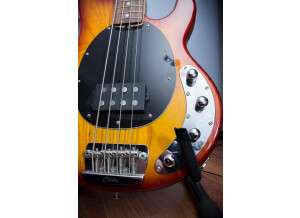 Sterling by Music Man Ray34 (70753)