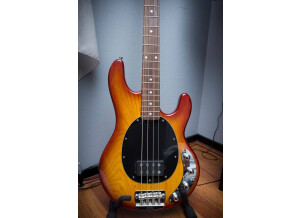 Sterling by Music Man Ray34 (31318)