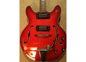 Epiphone EA 250
