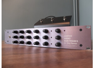 Custom Audio Electronics 3+ (69450)
