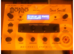 Dave Smith Instruments Mopho (94260)