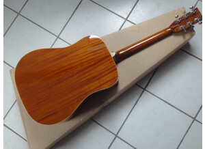 Tanglewood TW40 D AN E (92620)