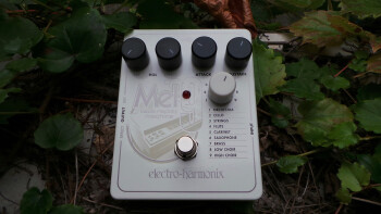 Electro-Harmonix Mel9 Tape Replay Machine : Test EHX Mel9 Photo 3