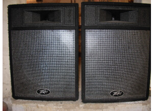 Peavey Pro 15 (48729)