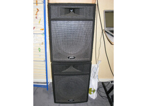 Enceintes Peavey Pro 15(