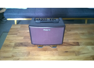 Roland AC-33-RW (16835)