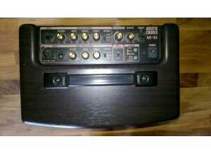 Roland AC-33-RW (94779)