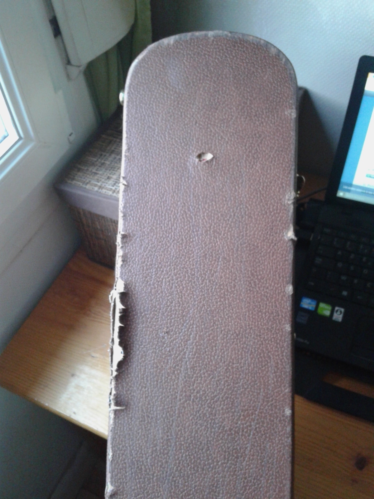 Gator Cases GW-LP-BROWN