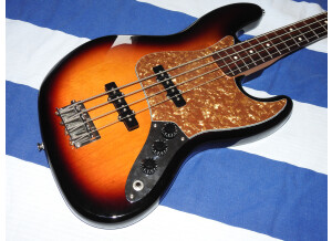 Fender Standard Jazz Bass [2009-Current] (6054)