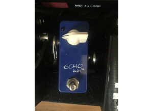 Lovepedal echobaby