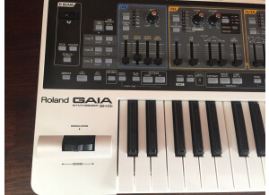 Roland GAIA SH-01 (56690)