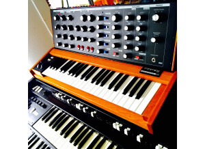 Moog Music Minimoog Voyager Old School (29085)