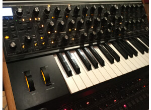 Moog Music SUB 37 (25791)
