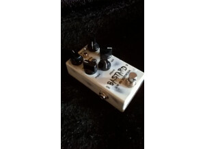 WEHBOO bastard distortion pic3